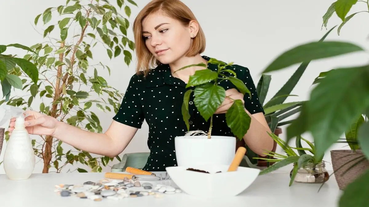 How Research‑Grade Bioactive Compounds Are Shaping Our Daily Self‑Care