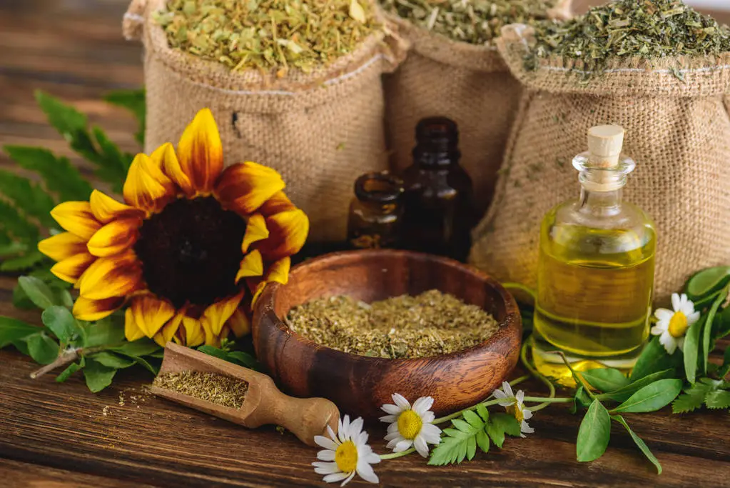 5 Morning Habits That Form the Foundation of WellHealthOrganic Philosophy