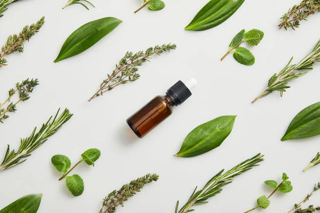 Organic vs. Conventional Wellness: What the Research Actually Says