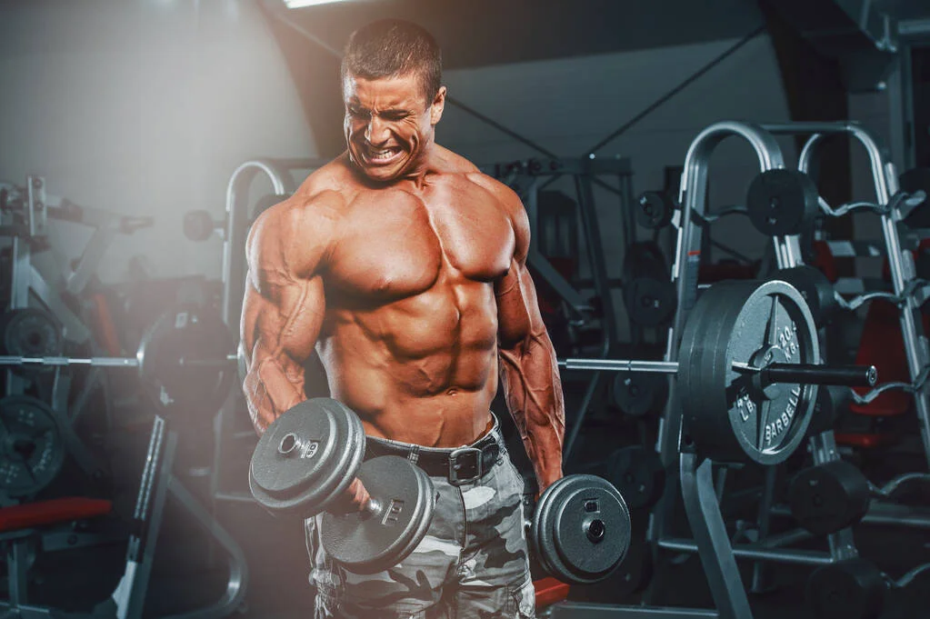 WellHealth How to Build Muscle Tag ggg