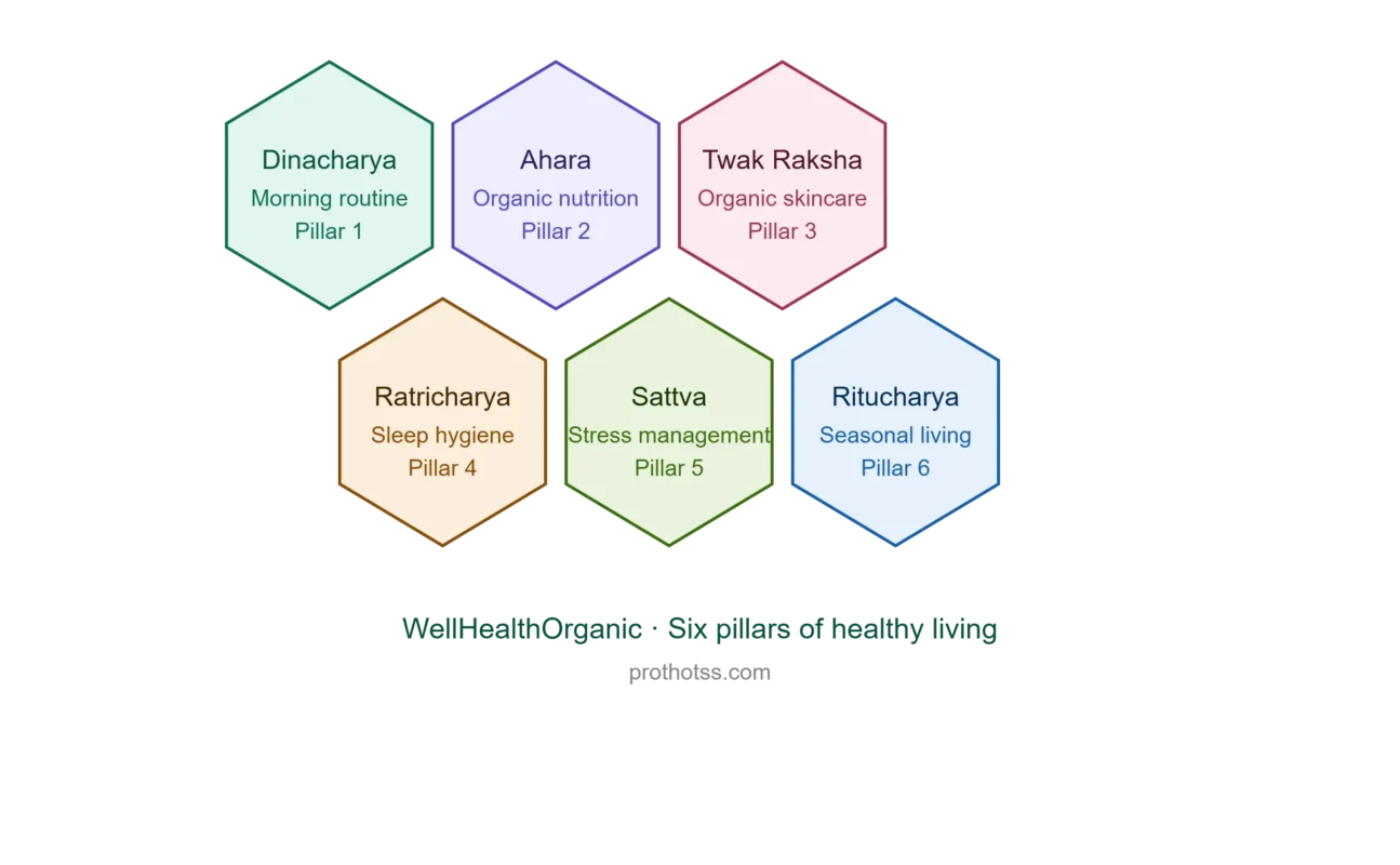 The Six Pillars of Healthy Life WellHealthOrganic